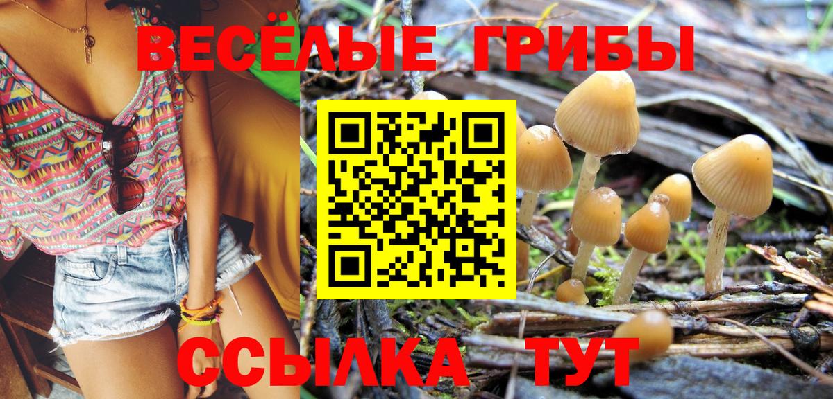 Орёл  цены   Вход с VPN  Псилоцибиновые грибы Cubensis 